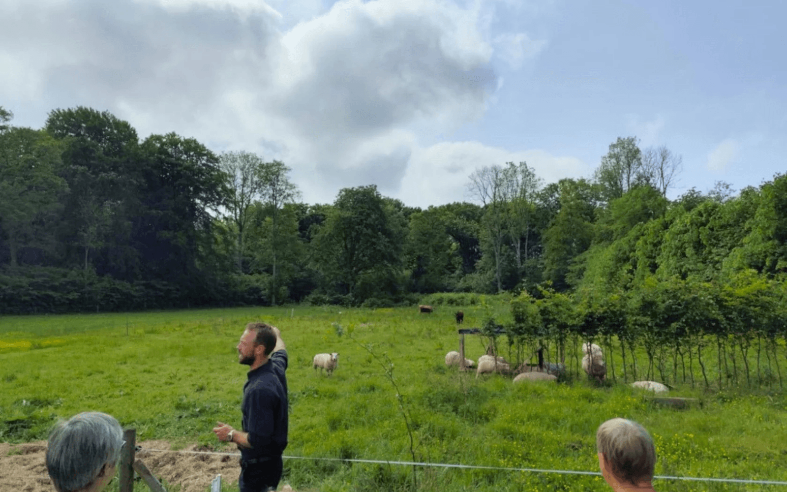 Rundvisning på landbruget